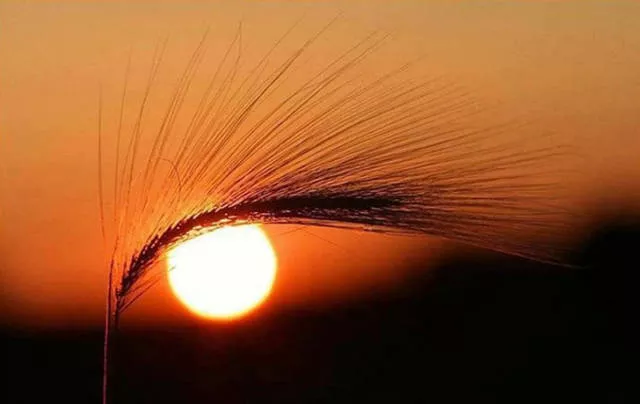 Des images surprenantes prisent au bon moment - #12 
