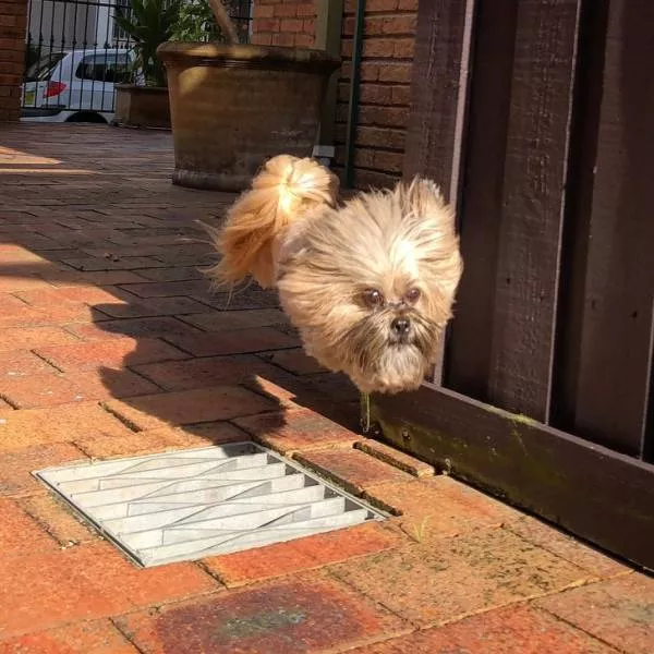 Surprising images are taken at the right time - #35 