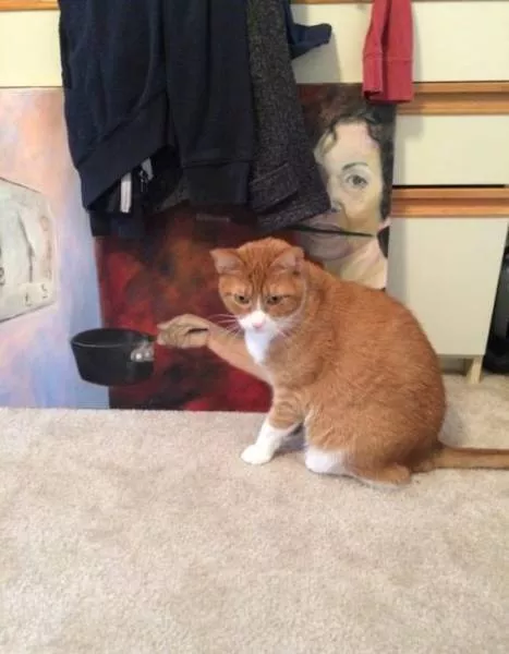 Surprising images are taken at the right time - #39 