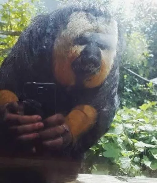 Surprising images are taken at the right time - #4 