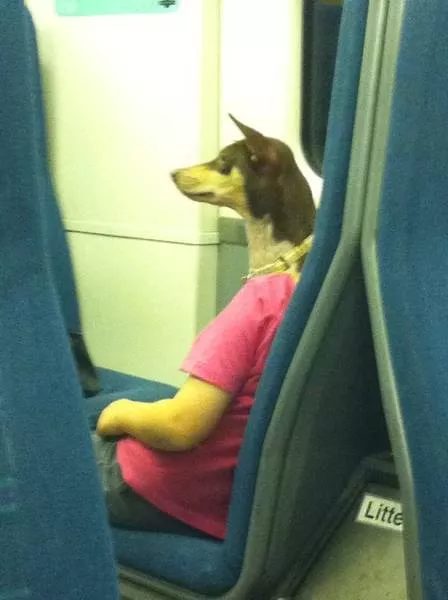 Surprising images are taken at the right time - #44 