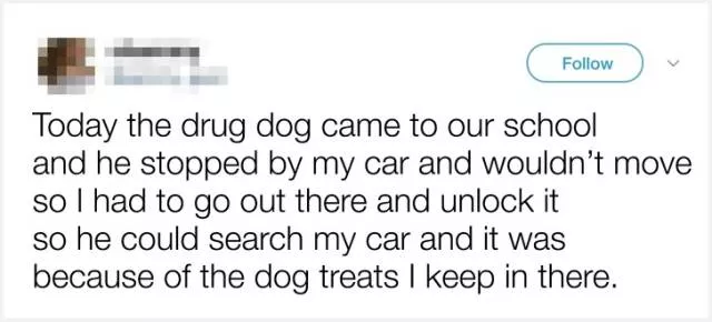 Funny pictures - #14 