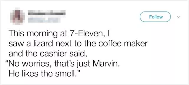 Funny pictures - #8 
