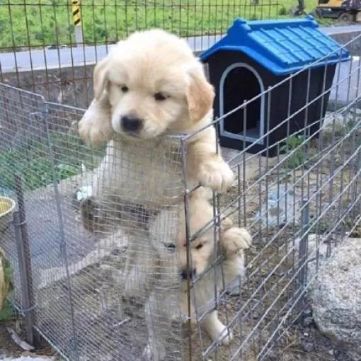 Picdump 351 - #42 
