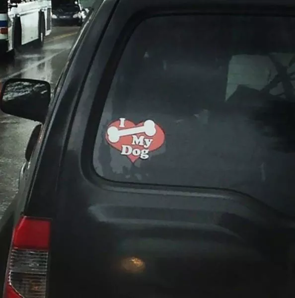The true definition of a ridiculous person - #23 