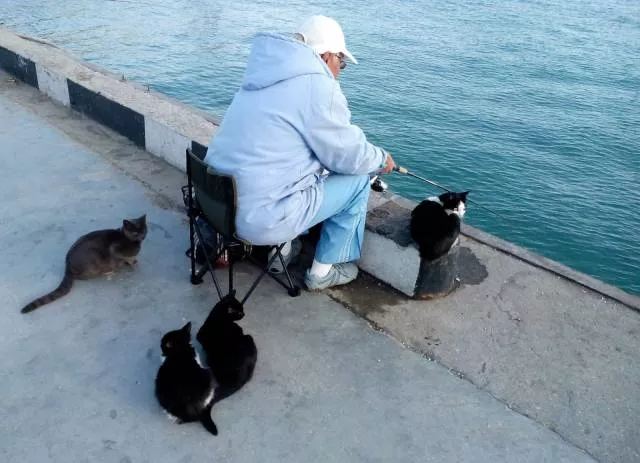 Picdump 352 - #39 
