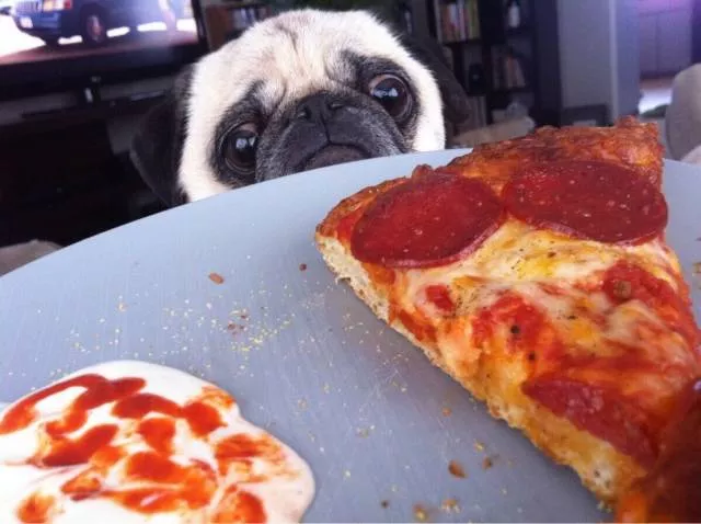 Picdump 352 - #66 