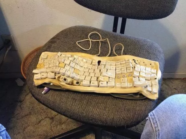 The worst fails of the week in pictures - #24 The worst fails of the week in pictures - #24