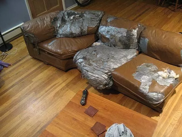 The worst fails of the week in pictures - #29 The worst fails of the week in pictures - #29