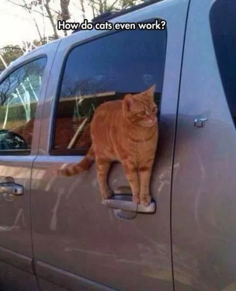 Picdump 66 - #13 