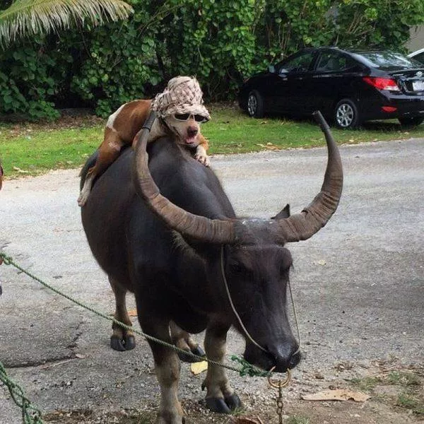Picdump 66 - #22 