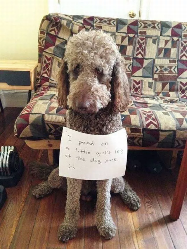 Picdump 66 - #24 