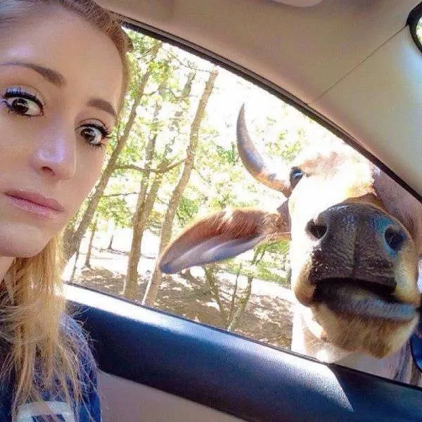 Picdump 66 - #32 