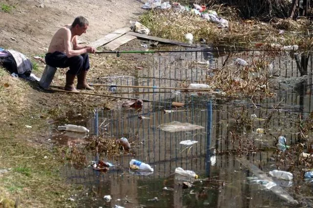 Picdump 66 - #37 