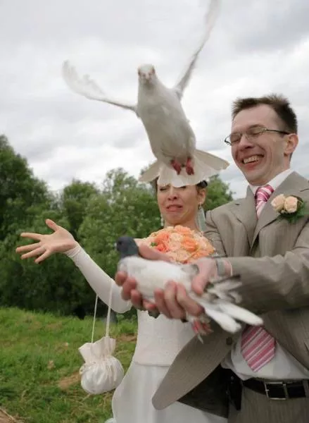 Picdump 66 - #8 