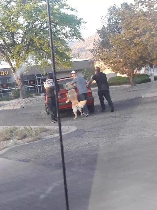 Picdump 354 - #28 