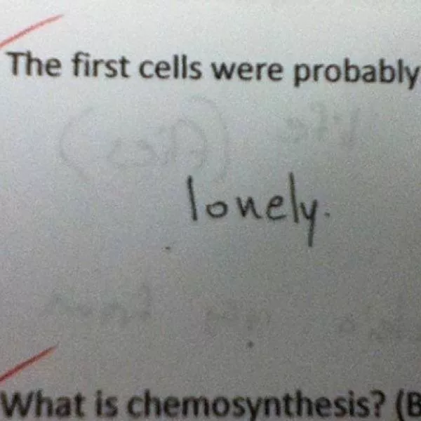 Students fails - #1 