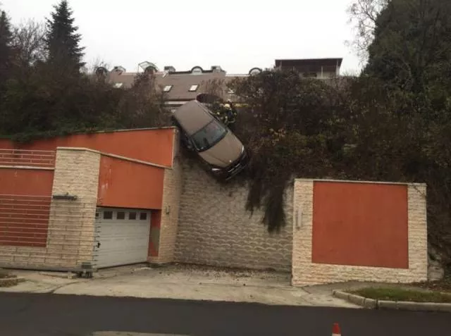 Picdump 355 - #11 
