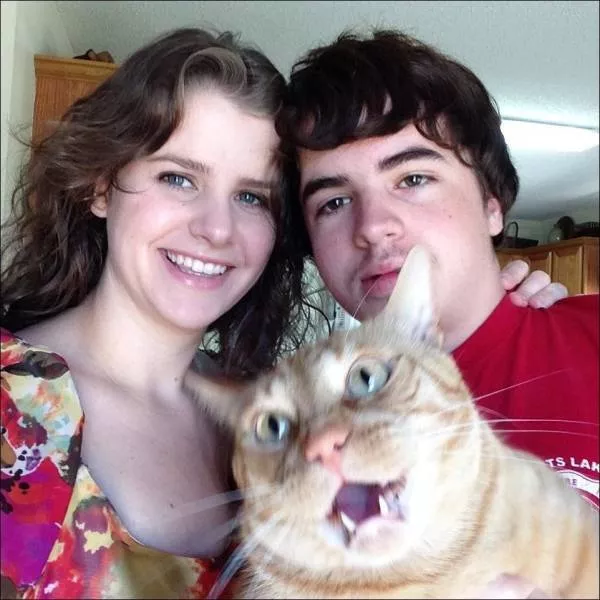 Picdump 355