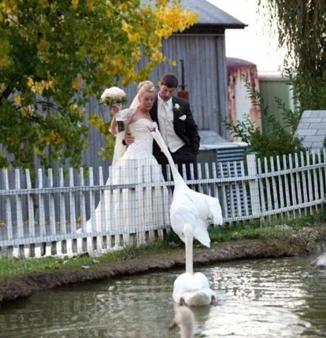 Picdump 355 - #37 