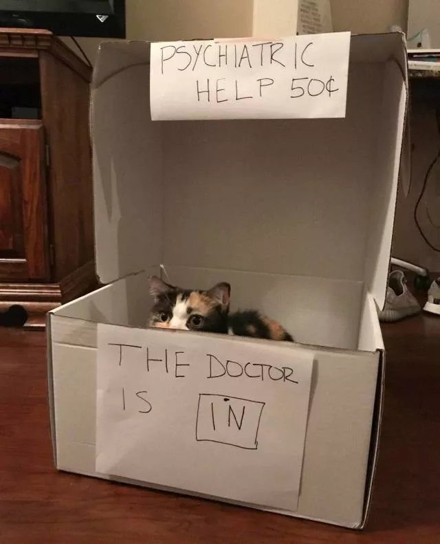 Picdump 355 - #5 