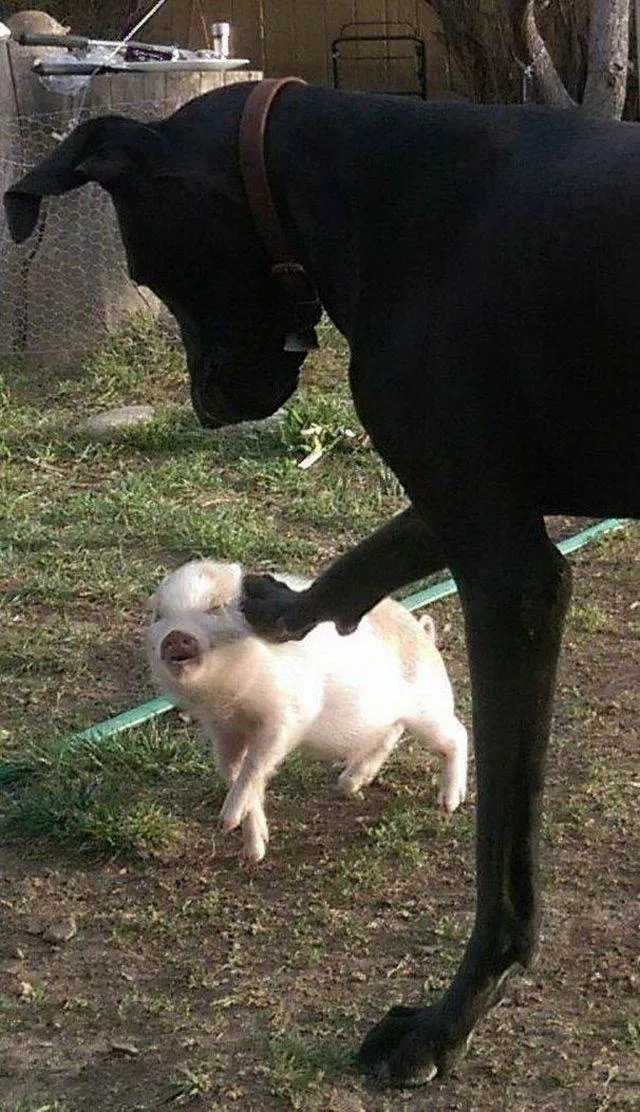 Picdump 355 - #56 