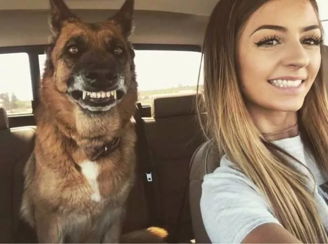 Picdump 355 - #7 