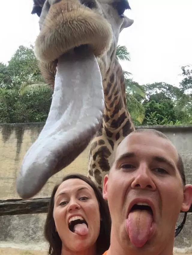 Picdump 355 - #75 