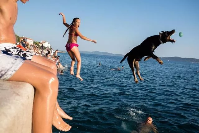 Picdump 355 - #78 