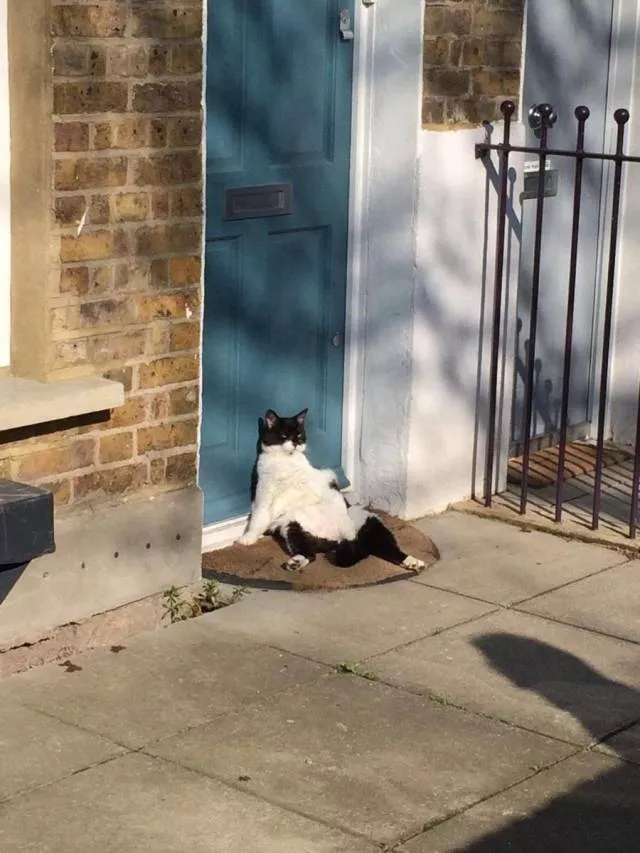 Picdump 355 - #8 