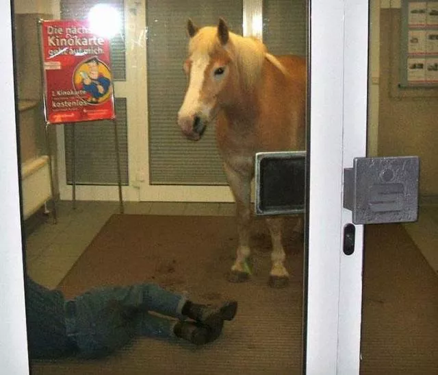 Terrible is the word that best describes these photos - #25 