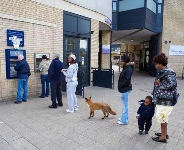 Terrible est le mot qui decrit le mieux ces photos - #43 
