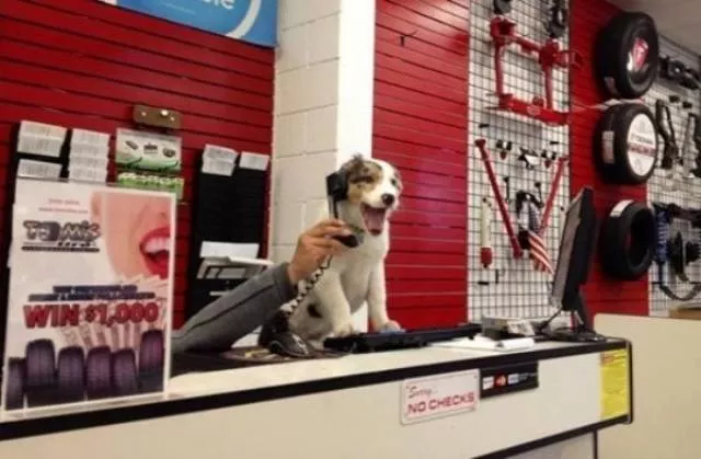 The biggest fails at work - #53 