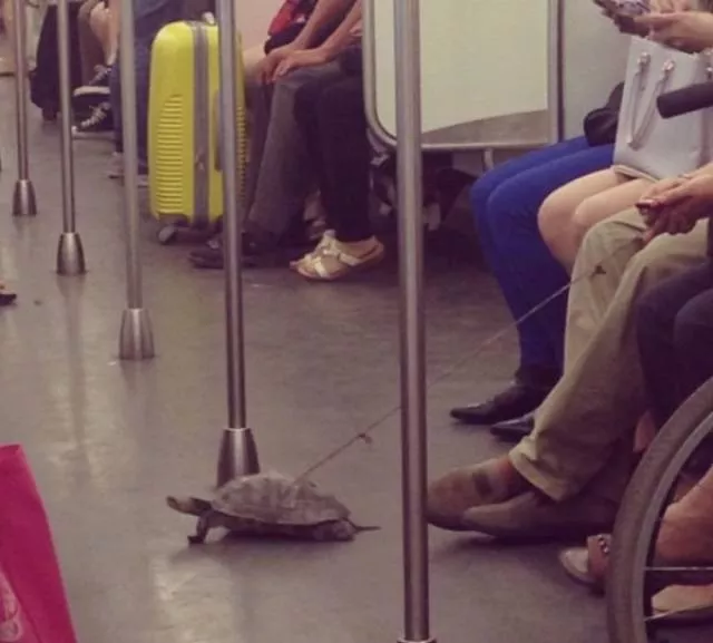 Ce quon trouve dans les stations de metro - #19 