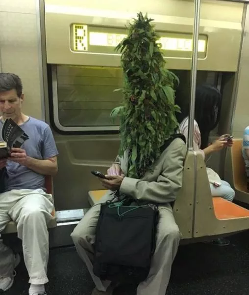 Ce quon trouve dans les stations de metro - #39 