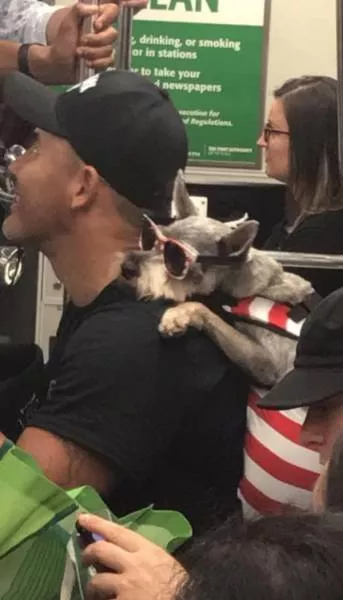 What you can find in subway stations - #43 