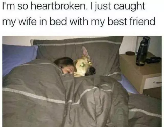 Picdump 356 - #20 