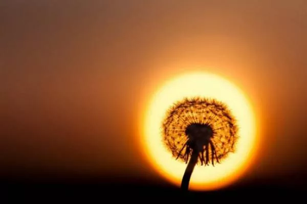 Amazing photos that are 100 real - #15 