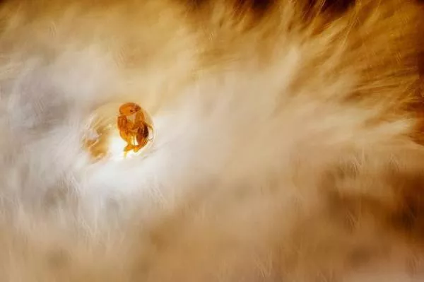Amazing photos that are 100 real - #19 
