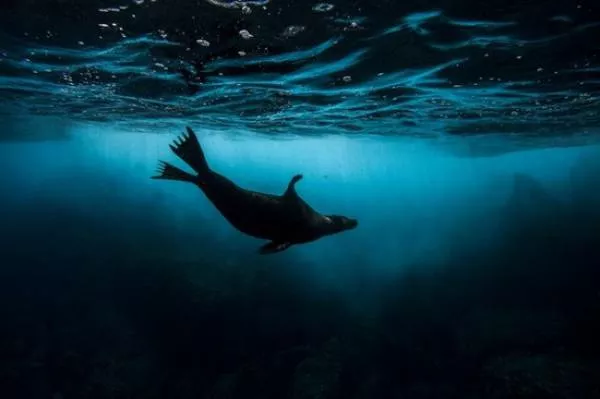 Amazing photos that are 100 real - #20 