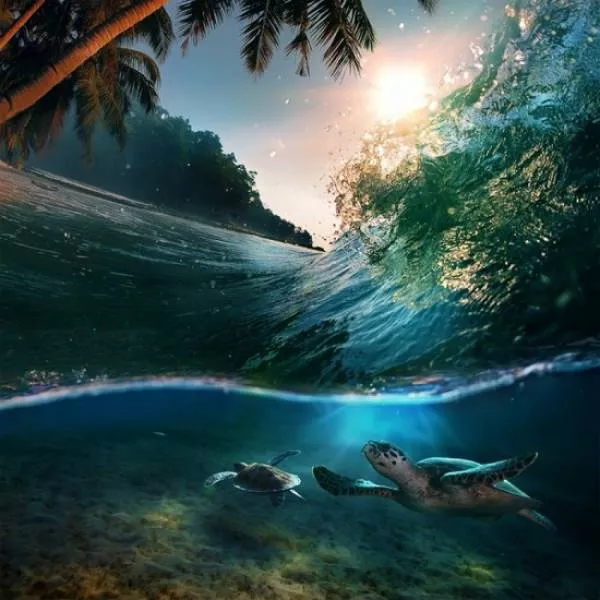 Amazing photos that are 100 real - #21 