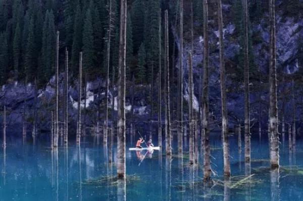 Photos incroyables mais 100 reelles - #24 