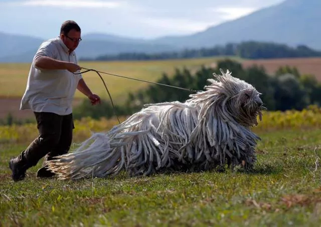 Amazing photos that are 100 real - #3 