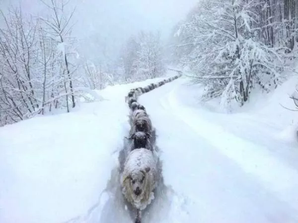 Amazing photos that are 100 real - #33 