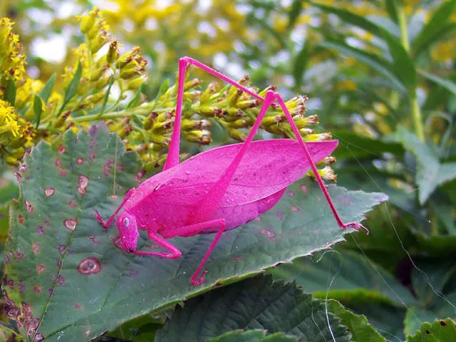 Amazing photos that are 100 real - #40 