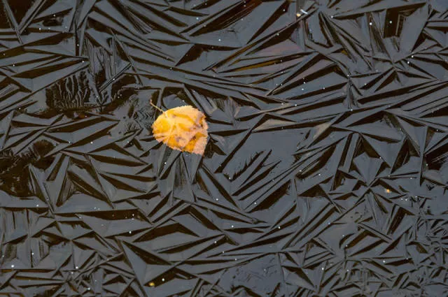 Amazing photos that are 100 real - #42 