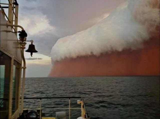 Amazing photos that are 100 real - #5 