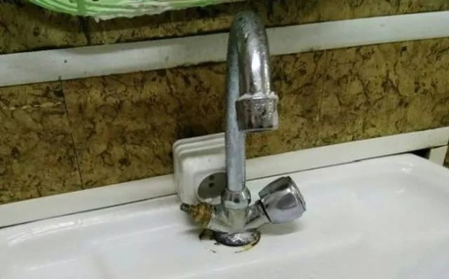 Photos that make you want to laugh - #1 