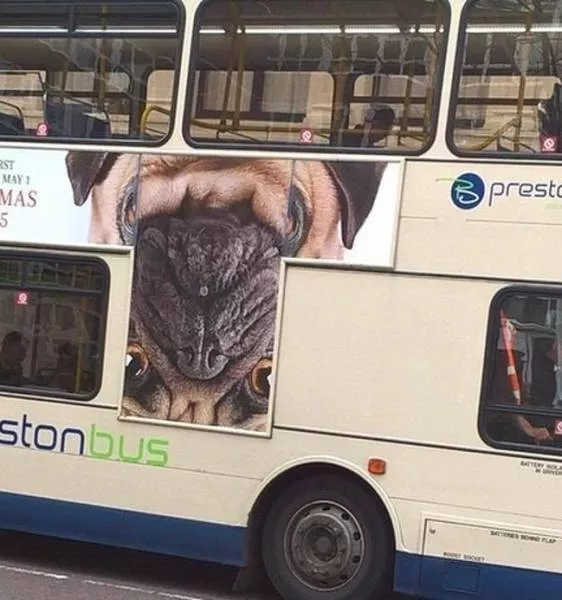 Photos that make you want to laugh