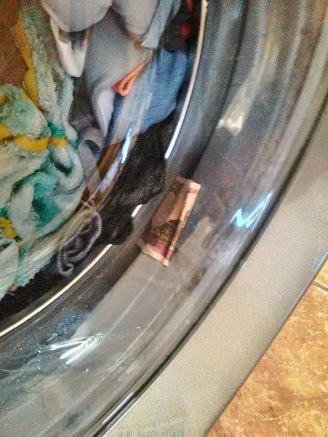 Photos that make you want to laugh - #4 